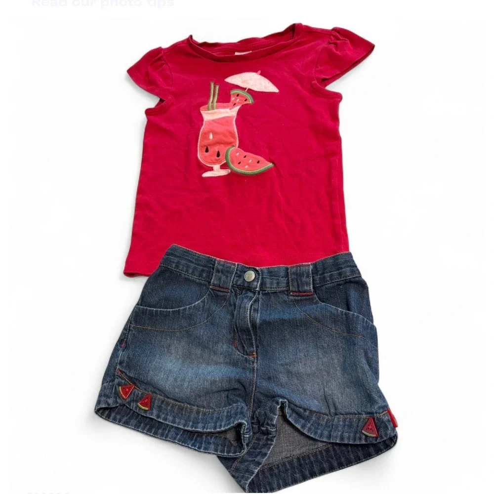 Gymboree Watermelon Outfit Set Girls Size 4T Denim Shorts Pink Top Summer